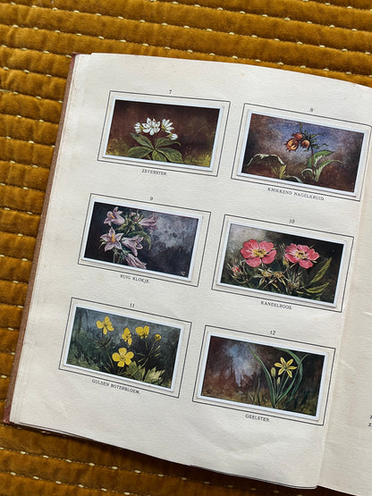 Bosch en Heide Verkade Plaatjesalbum 1913