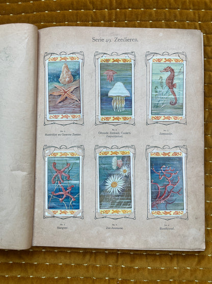 Verkade Bilderalbum 3, Serie 49-72, 1905, vollständig