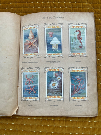 Verkade Bilderalbum 3, Serie 49-72, 1905, vollständig