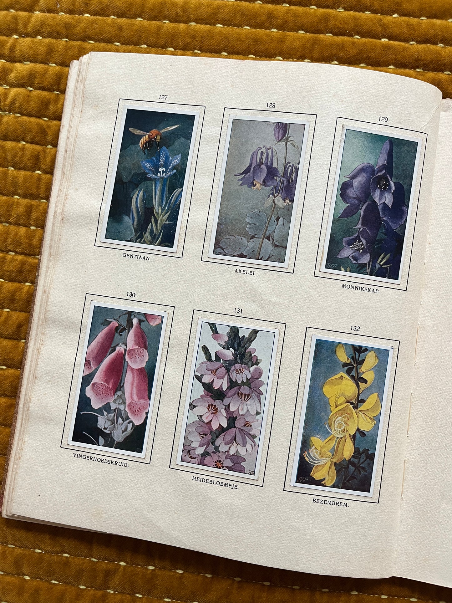 Bosch en Heide Verkade Plaatjesalbum 1913