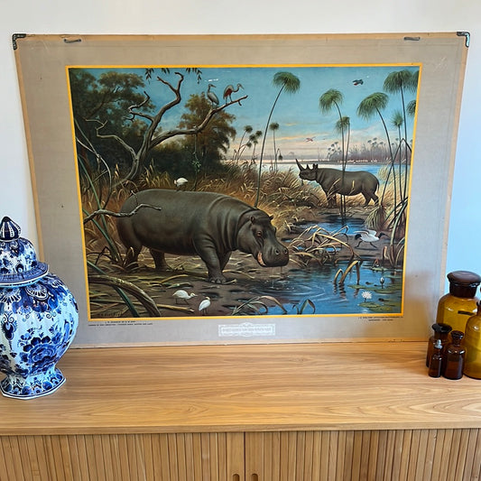 Vintage schoolplaat Nijlpaard van M.A. Koekkoek In het gebied van den Boven Nijl