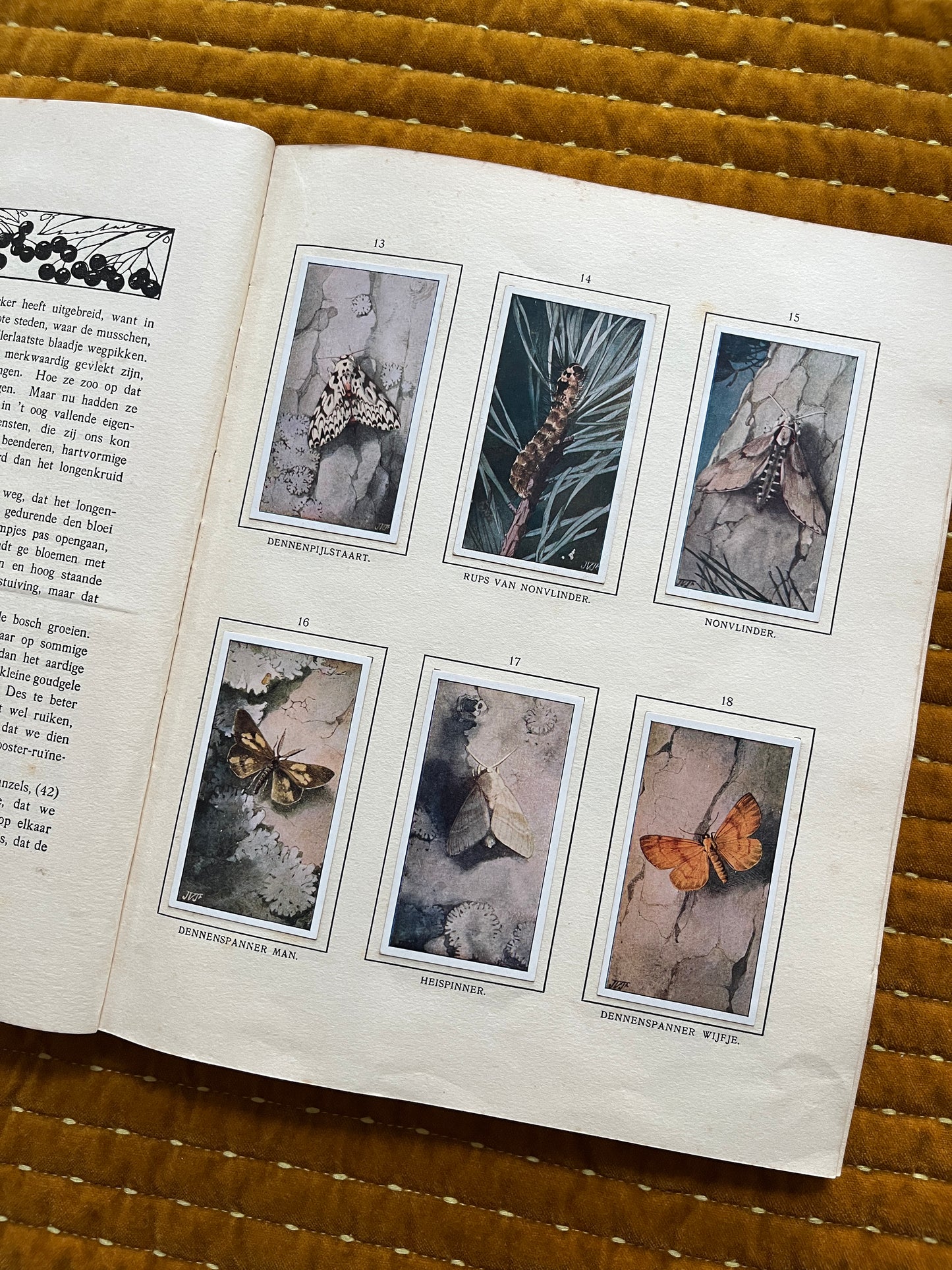 Bosch en Heide Verkade Plaatjesalbum 1913