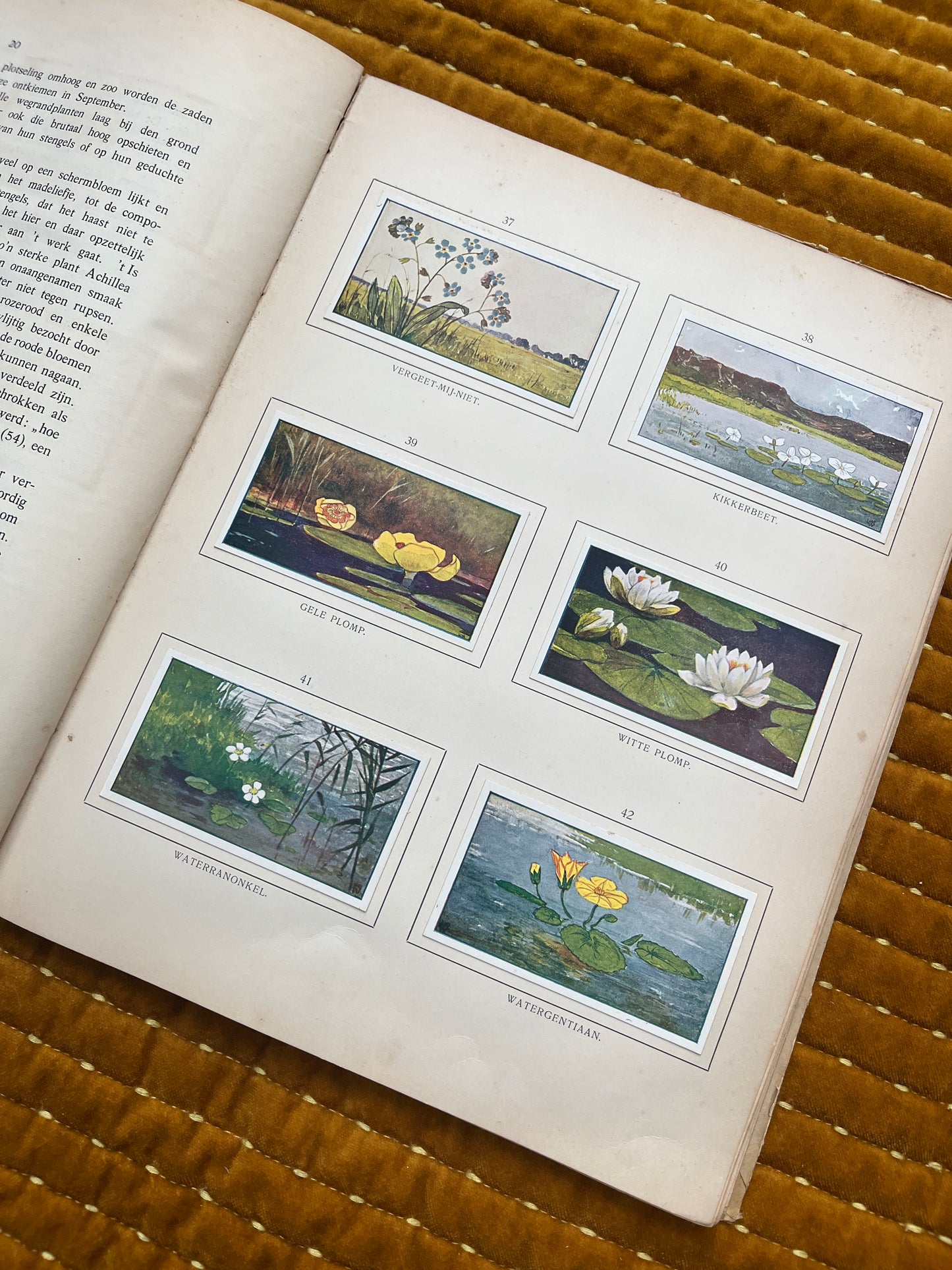 Zomer Verkade Plaatjesalbum 1907 (derde druk)