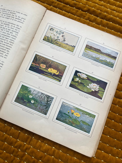 Zomer Verkade Plaatjesalbum 1907 (derde druk)