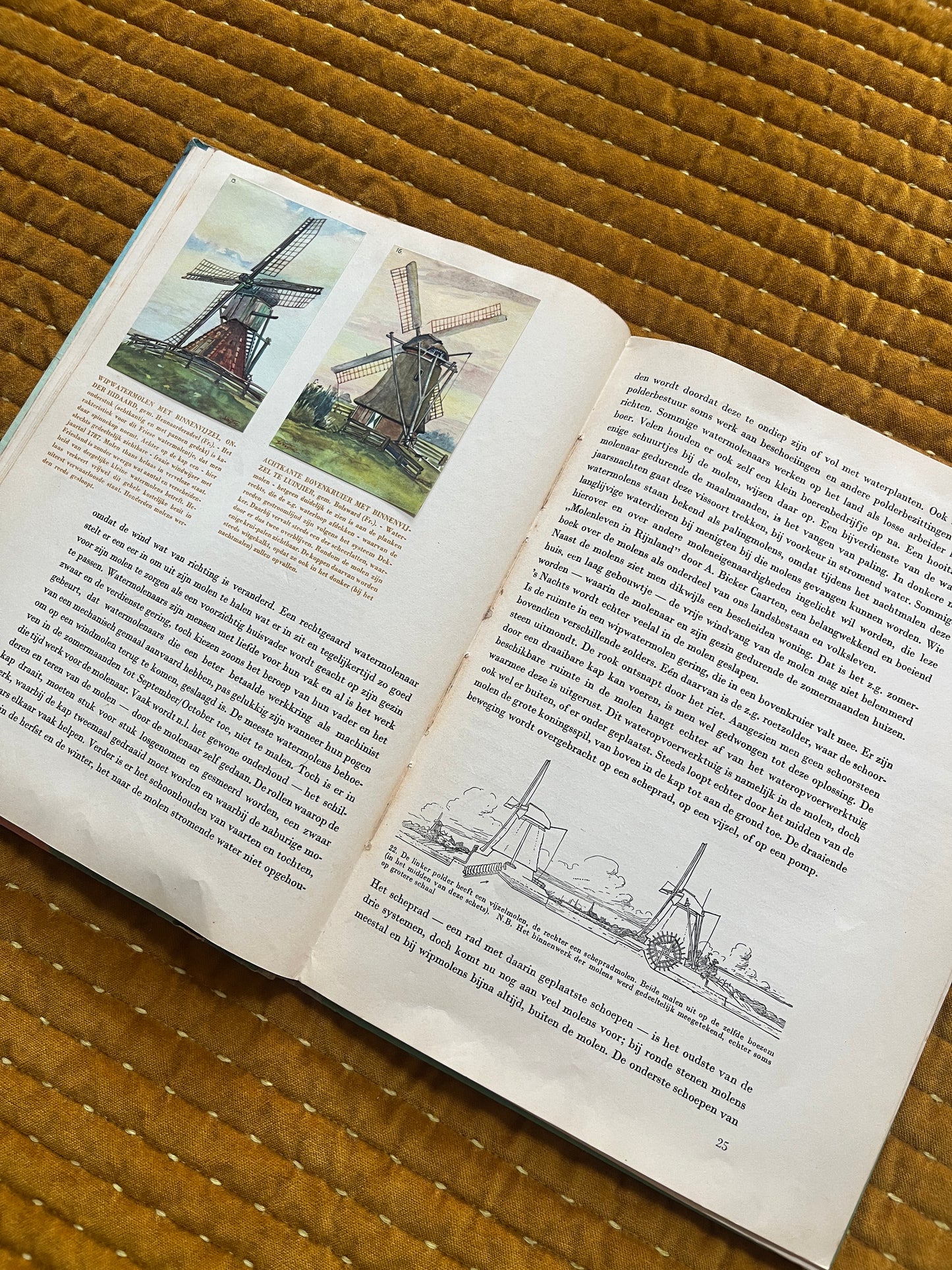 Mühlen und Kostüme in den Niederlanden, Fotoalbum 1949