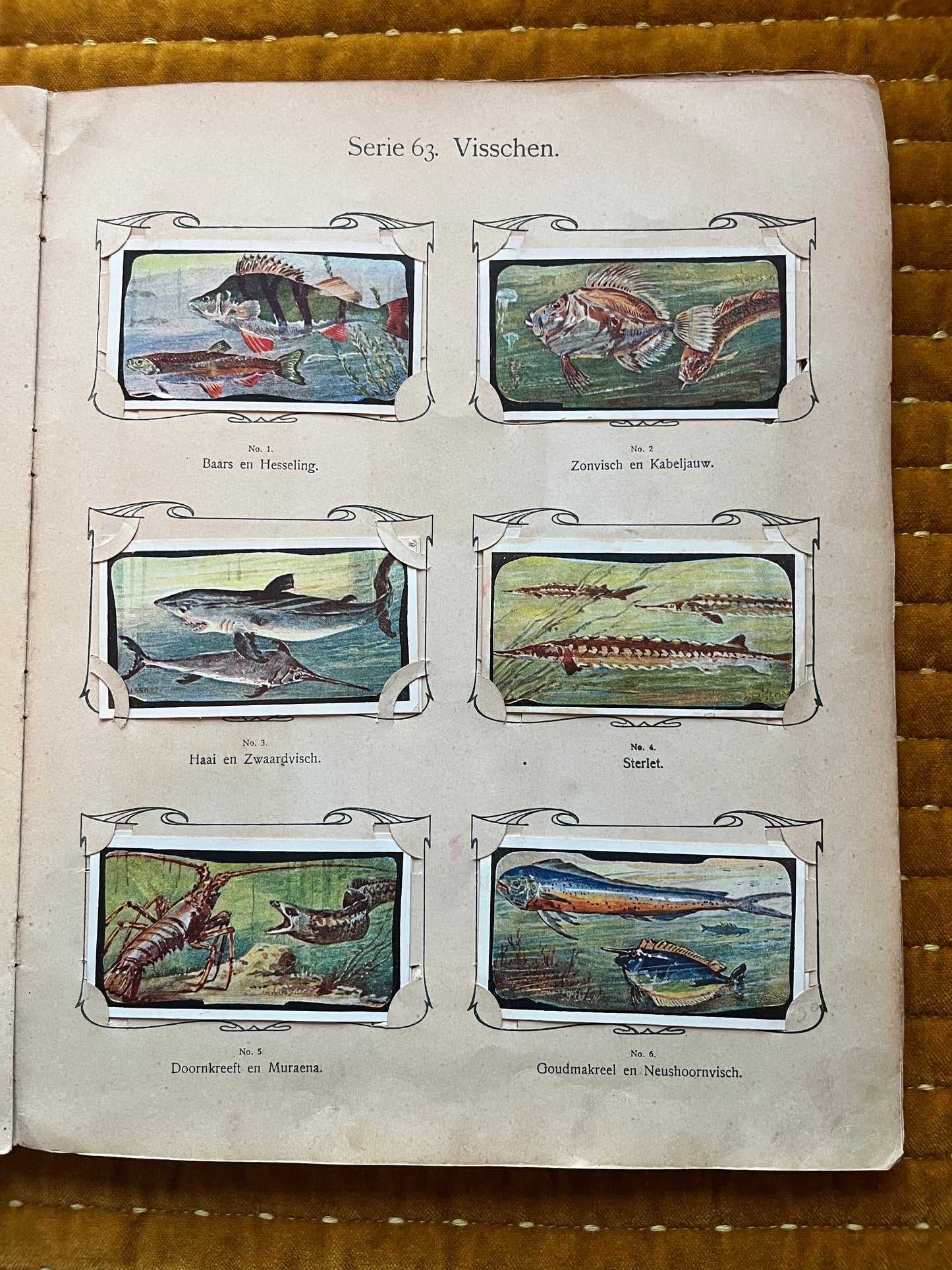 Verkade Picture Album 3 (1905) loose pictures Series 63 Fish