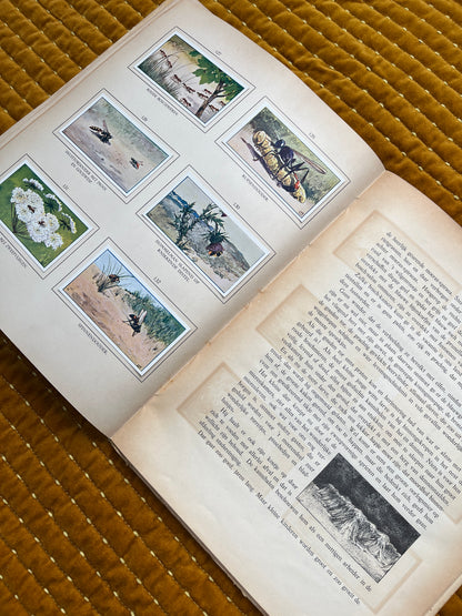 Zomer Verkade Plaatjesalbum 1908 (tweede druk)