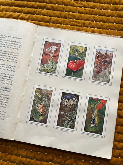 Herfst Verkade Plaatjesalbum 1910