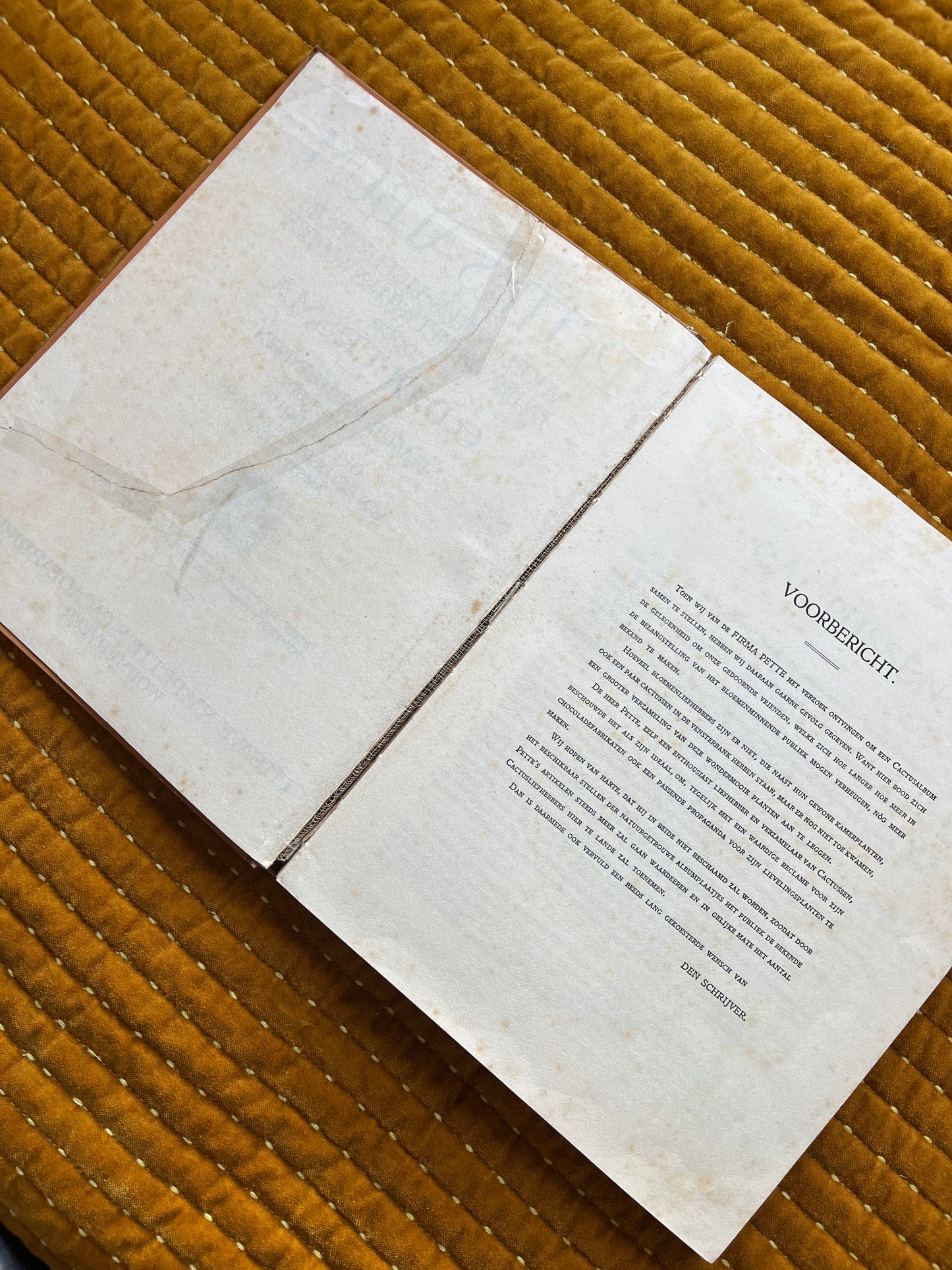 Cactus-Album Plaatjesalbum