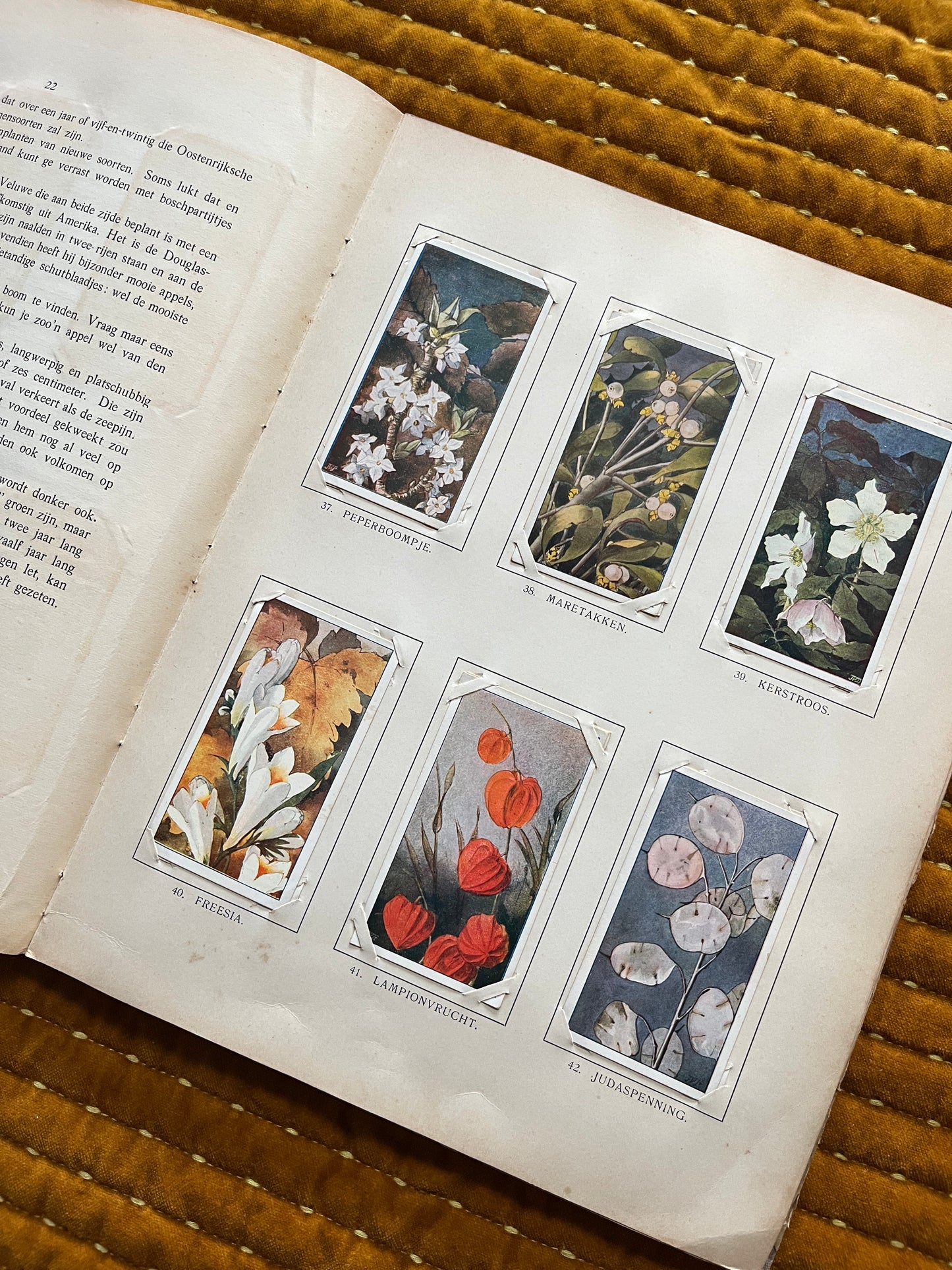 Winter Verkade Plaatjesalbum 1909