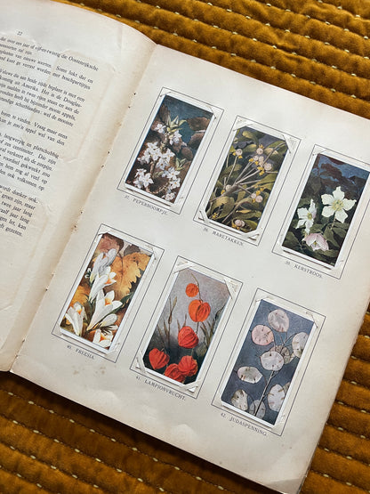 Winter Verkade Plaatjesalbum 1909