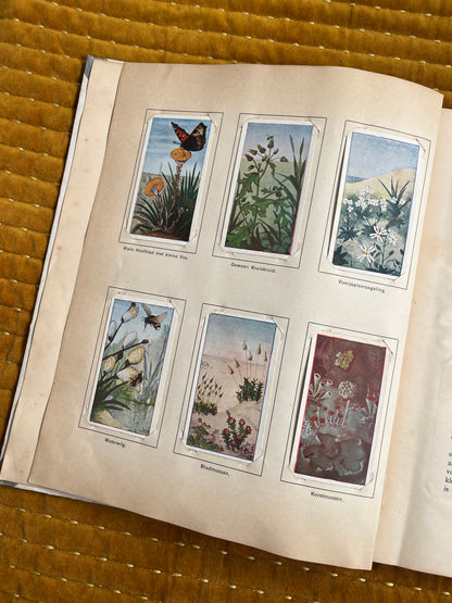 Lente Verkade Plaatjesalbum 1906