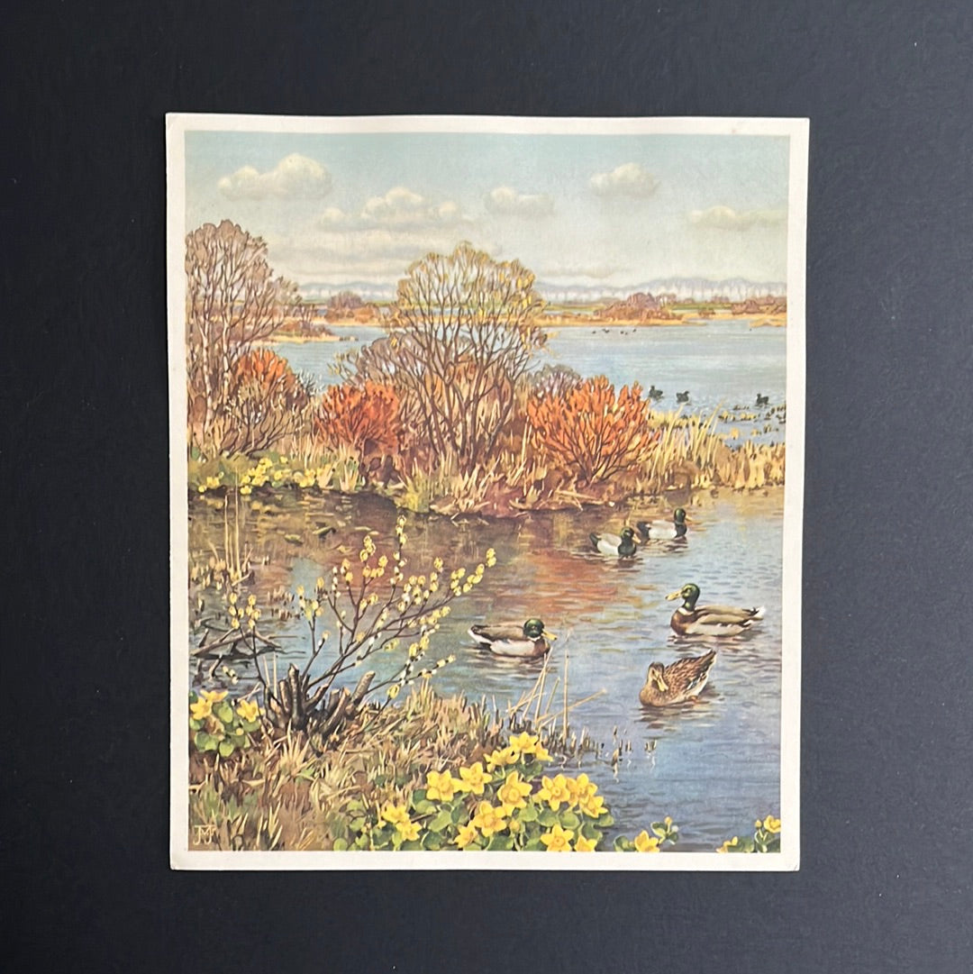 Early spring at the lake. No. 14 (1937)