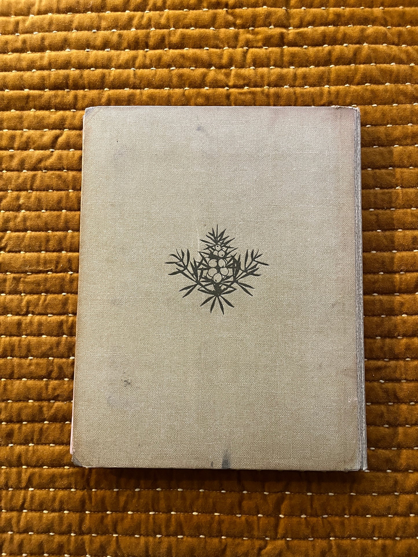 Blonde Duinen Verkade Plaatjesalbum 1910