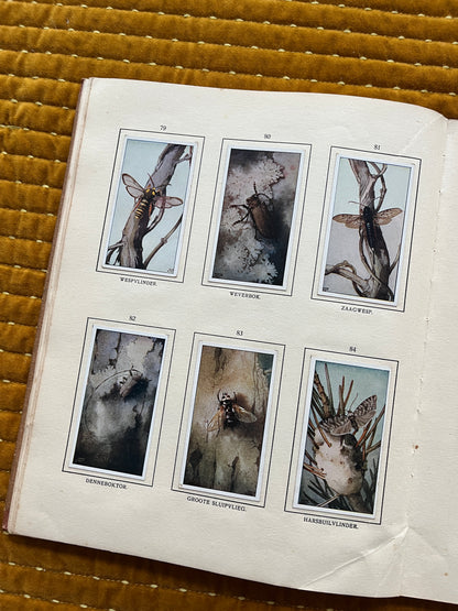 Bosch en Heide Verkade Plaatjesalbum 1913