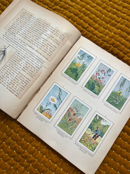 Zomer Verkade Plaatjesalbum 1908 (tweede druk)