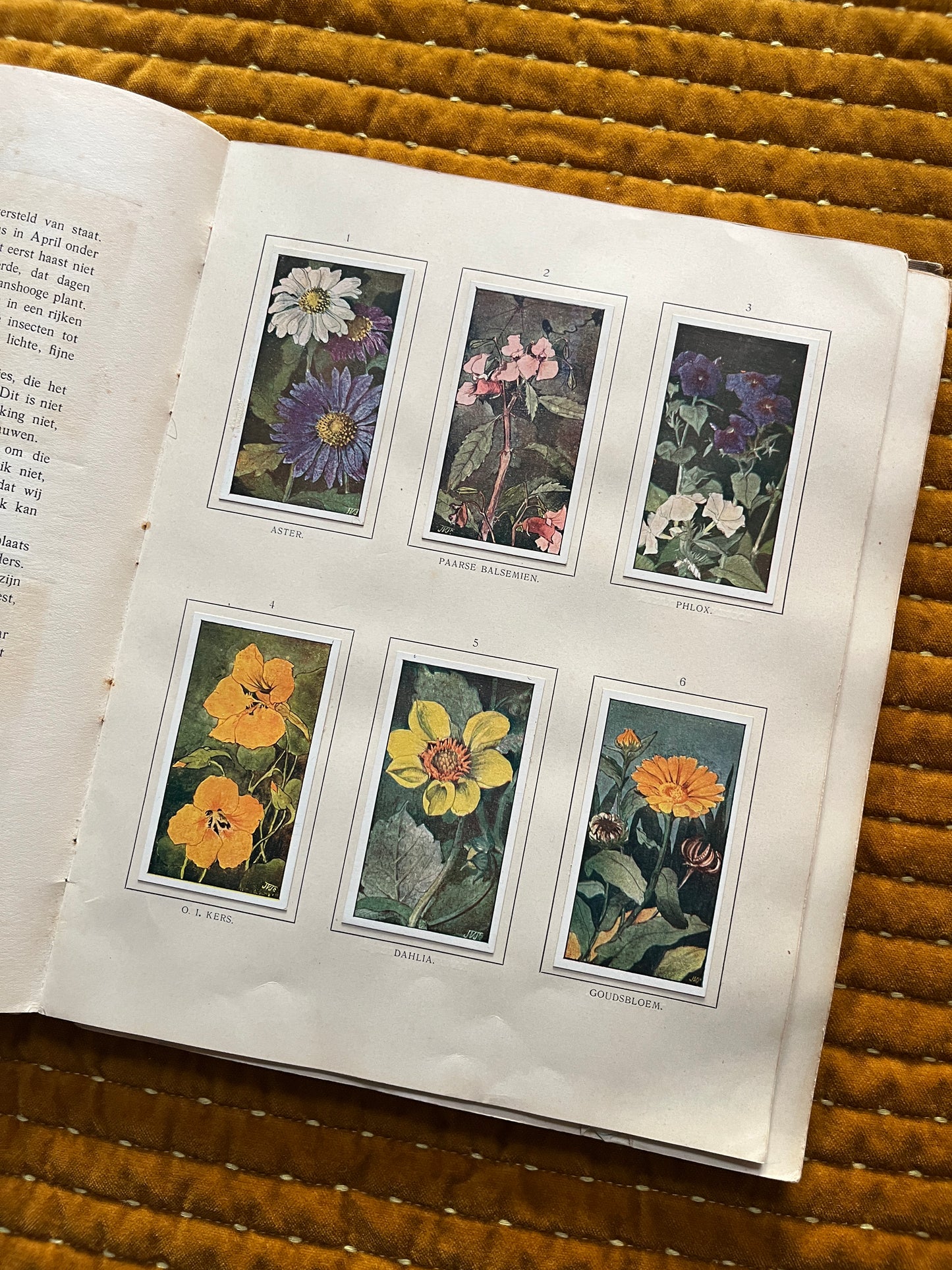 Herfst Verkade Plaatjesalbum 1910