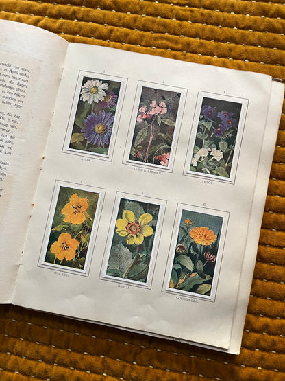 Herfst Verkade Plaatjesalbum 1910