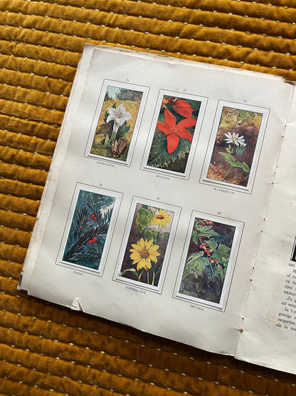 Herfst Verkade Plaatjesalbum 1910