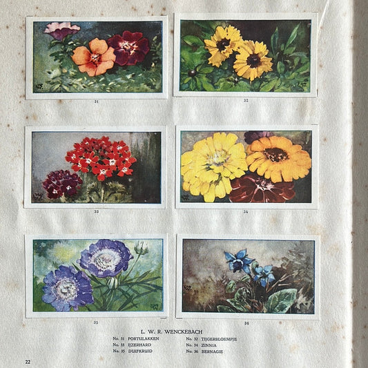 6 Verkade plaatjes De bloemen in onze tuin 1926 (31-36)