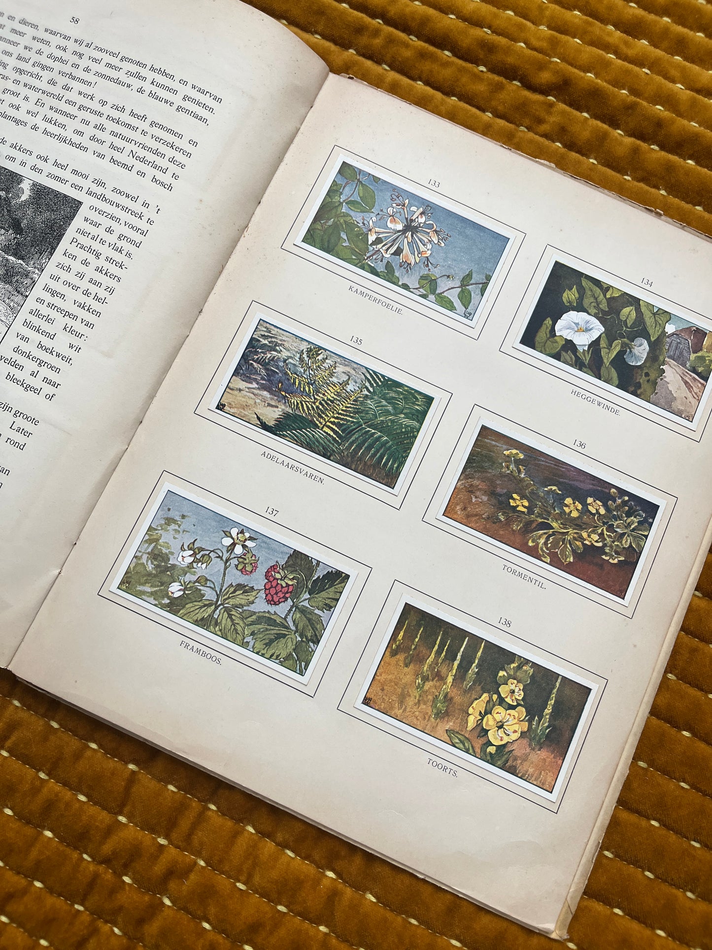 Zomer Verkade Plaatjesalbum 1907 (derde druk)