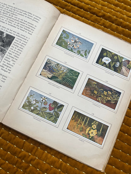 Zomer Verkade Plaatjesalbum 1907 (derde druk)