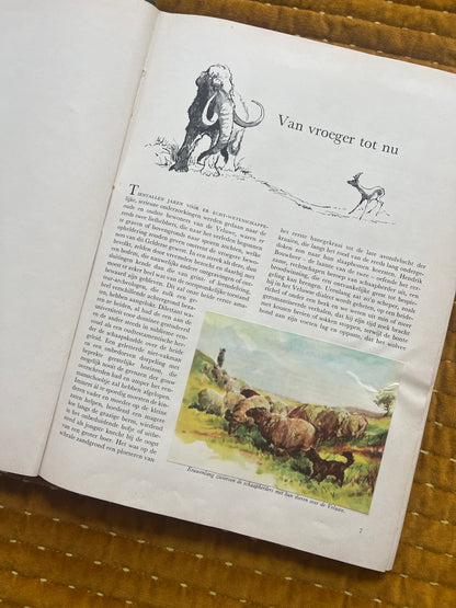 So lebt die Hoge Veluwe – Fotoalbum 1960