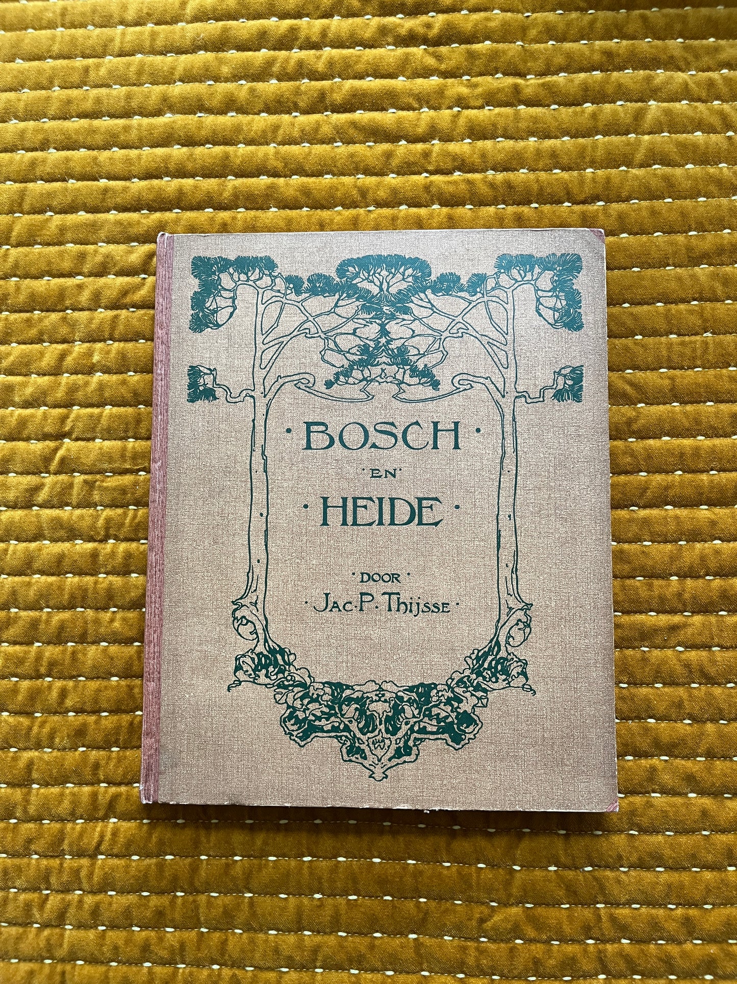Bosch en Heide Verkade Plaatjesalbum 1913