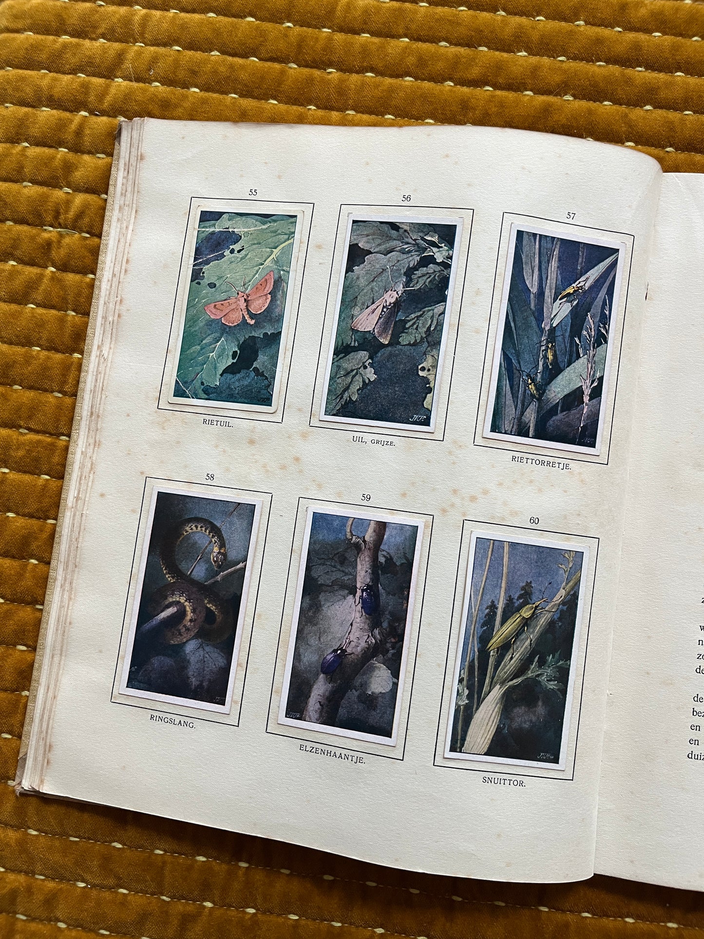 Das Naardermeer Verkade-Bilderalbum 1912