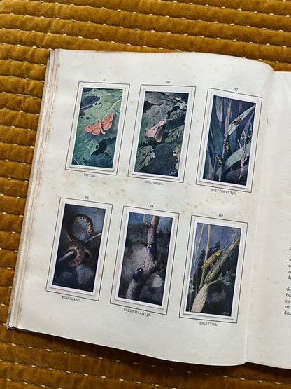 Das Naardermeer Verkade-Bilderalbum 1912