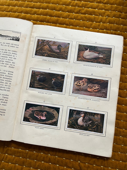 Das Naardermeer Verkade-Bilderalbum 1912