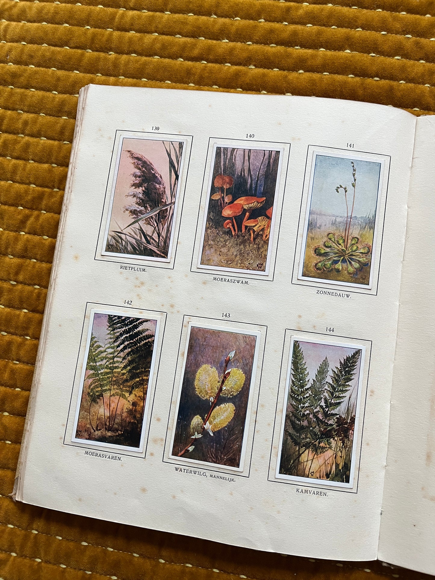 Das Naardermeer Verkade-Bilderalbum 1912