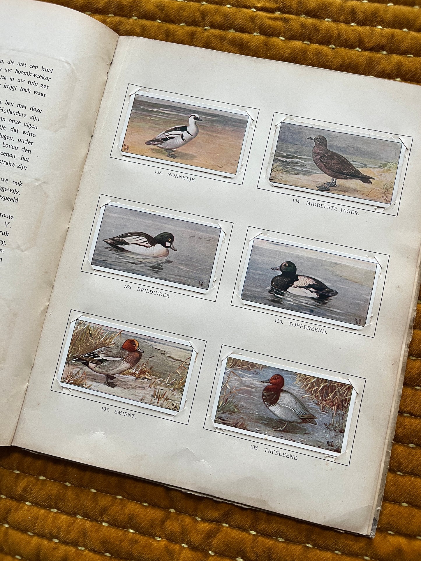 Winter Verkade Plaatjesalbum 1909