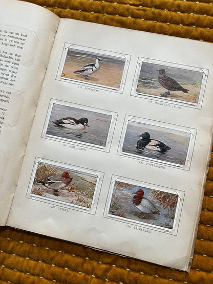 Winter Verkade Plaatjesalbum 1909