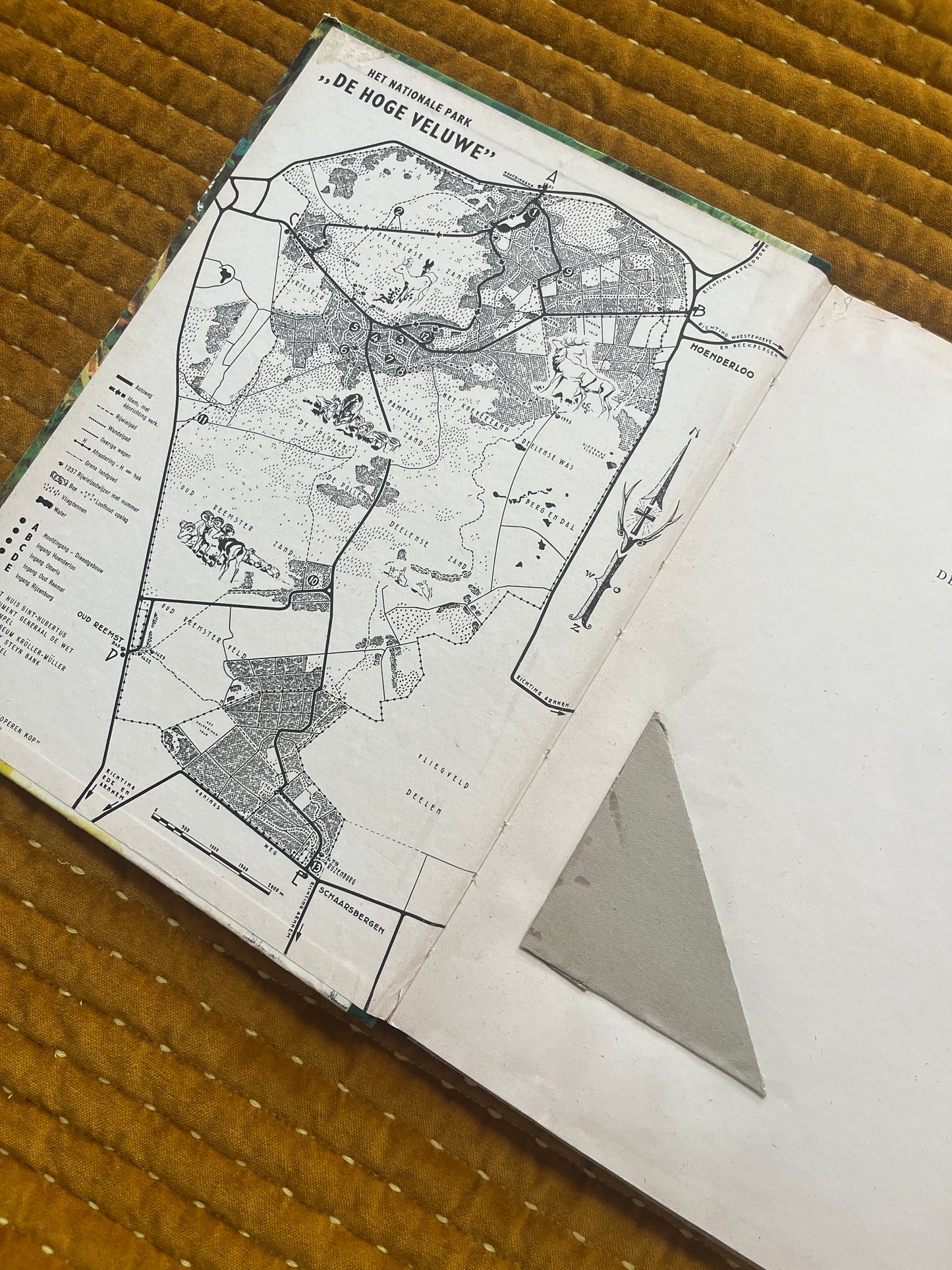 So lebt die Hoge Veluwe – Fotoalbum 1960