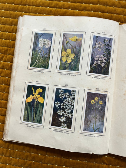 Das Naardermeer Verkade-Bilderalbum 1912