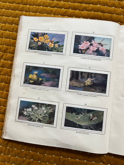 Das Naardermeer Verkade-Bilderalbum 1912