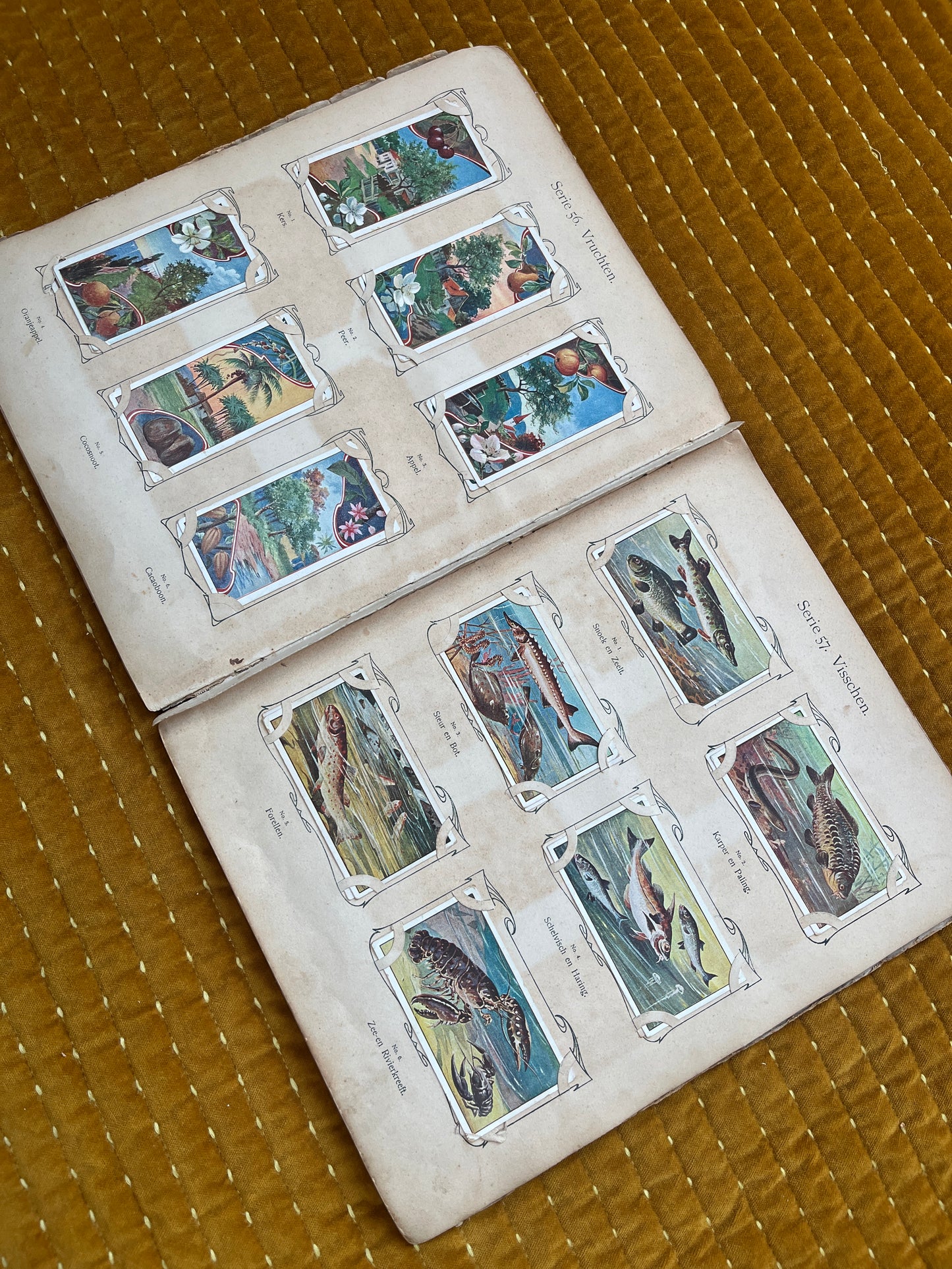 Verkade Bilderalbum 3, Serie 49-72, 1905, vollständig