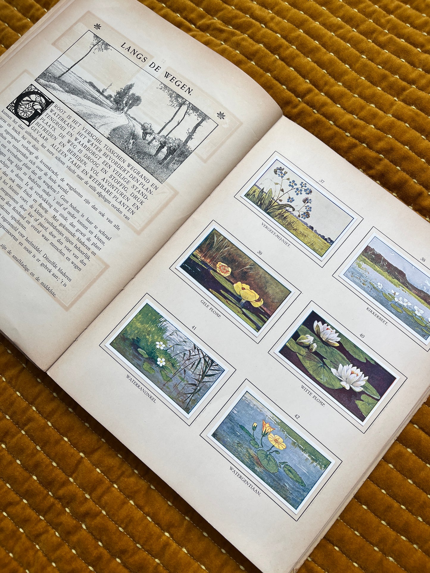 Zomer Verkade Plaatjesalbum 1908 (tweede druk)