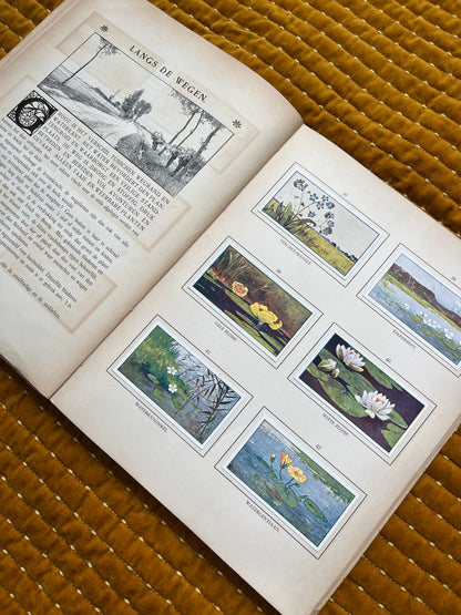 Zomer Verkade Plaatjesalbum 1908 (tweede druk)