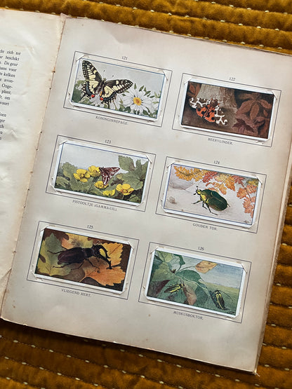 Zomer Verkade Plaatjesalbum 1907