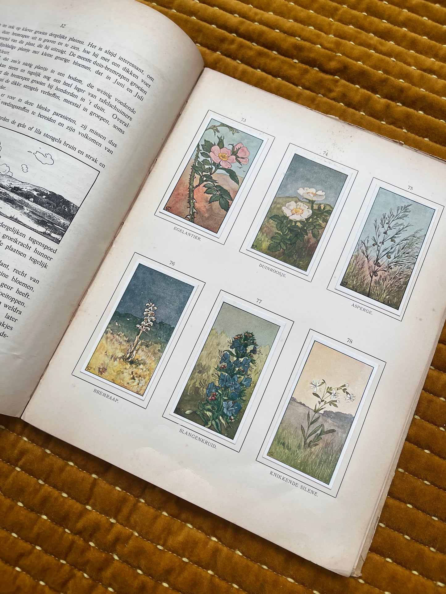 Zomer Verkade Plaatjesalbum 1907 (derde druk)