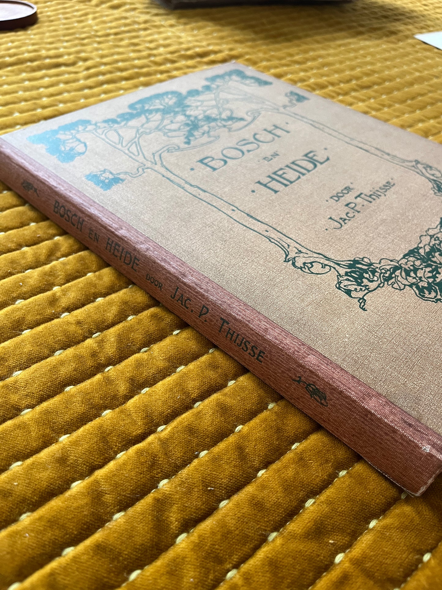 Bosch en Heide Verkade Plaatjesalbum 1913