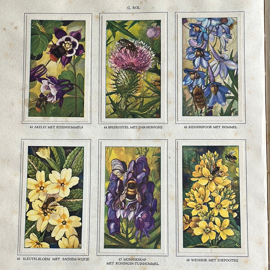 6 Verkade plaatjes De bloemen en haar vrienden 1934 (43-48)