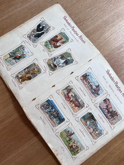Verkade Plaatjesalbum 2 serie 25-48 1904 compleet #6