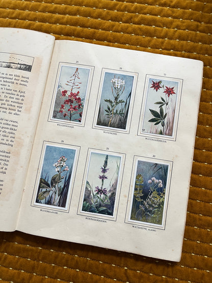 Das Naardermeer Verkade-Bilderalbum 1912