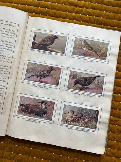 Das Bonte Wei Verkade-Bilderalbum 1911