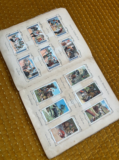 Verkade Bilderalbum 3, Serie 49-72, 1905, vollständig