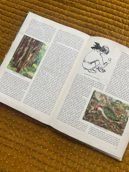 So lebt die Hoge Veluwe – Fotoalbum 1960