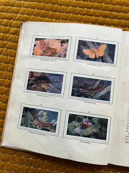 Das Naardermeer Verkade-Bilderalbum 1912